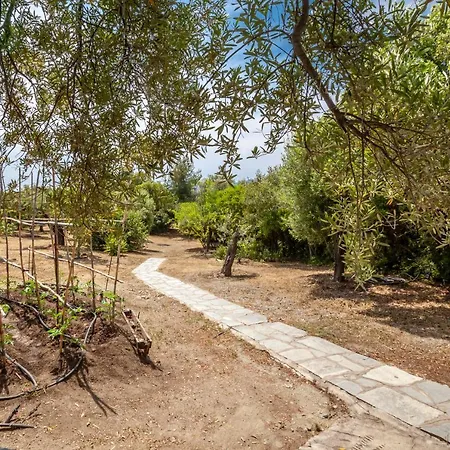 Hidden Gem Sithonia Villa