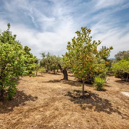 Hidden Gem Sithonia Βίλα *